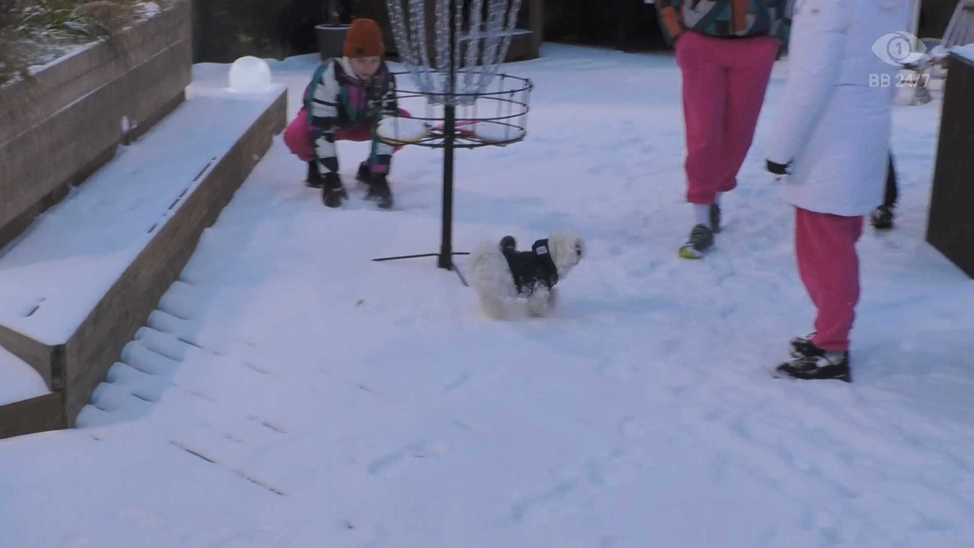 Rocky-koira pääsi myös BB-talon lumiselle pihalle. Kuva: © Nelonen Media.